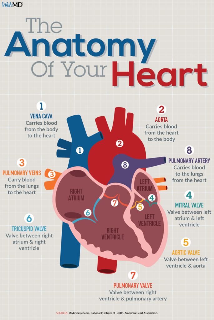 electrocardiográfico